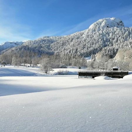 Chalet Des Cascades Le Mont-Dore Εξωτερικό φωτογραφία