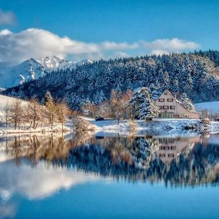 Chalet Des Cascades Le Mont-Dore Εξωτερικό φωτογραφία