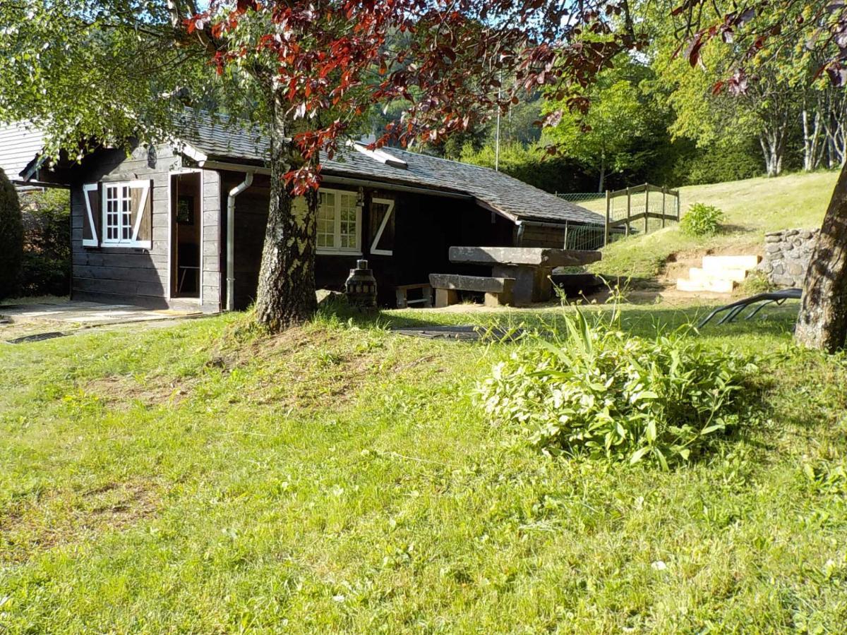 Chalet Des Cascades Le Mont-Dore Εξωτερικό φωτογραφία