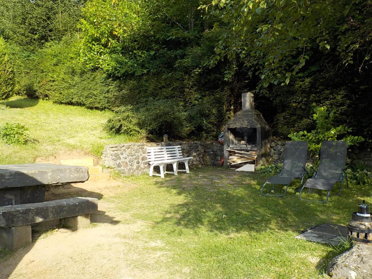 Chalet Des Cascades Le Mont-Dore Εξωτερικό φωτογραφία