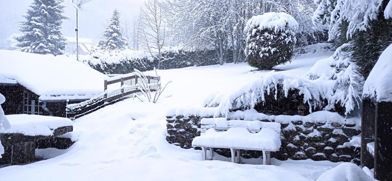 Chalet Des Cascades Le Mont-Dore Εξωτερικό φωτογραφία