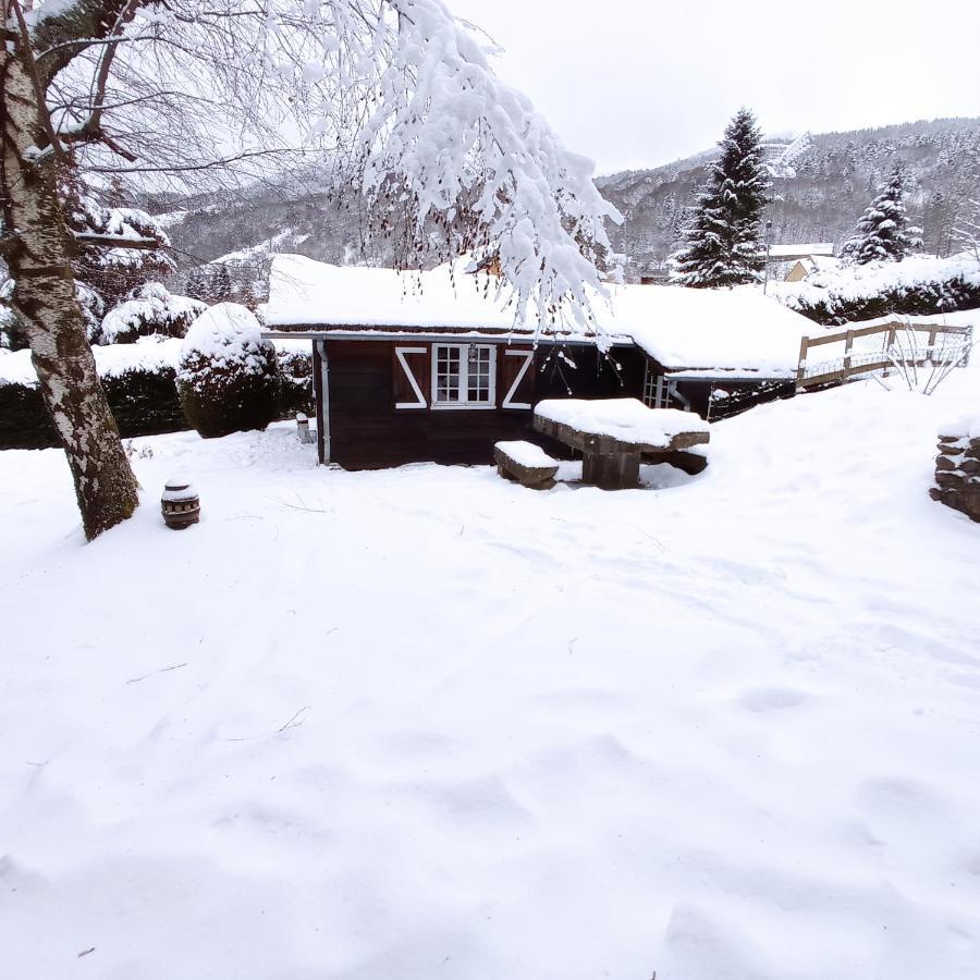 Chalet Des Cascades Le Mont-Dore Εξωτερικό φωτογραφία