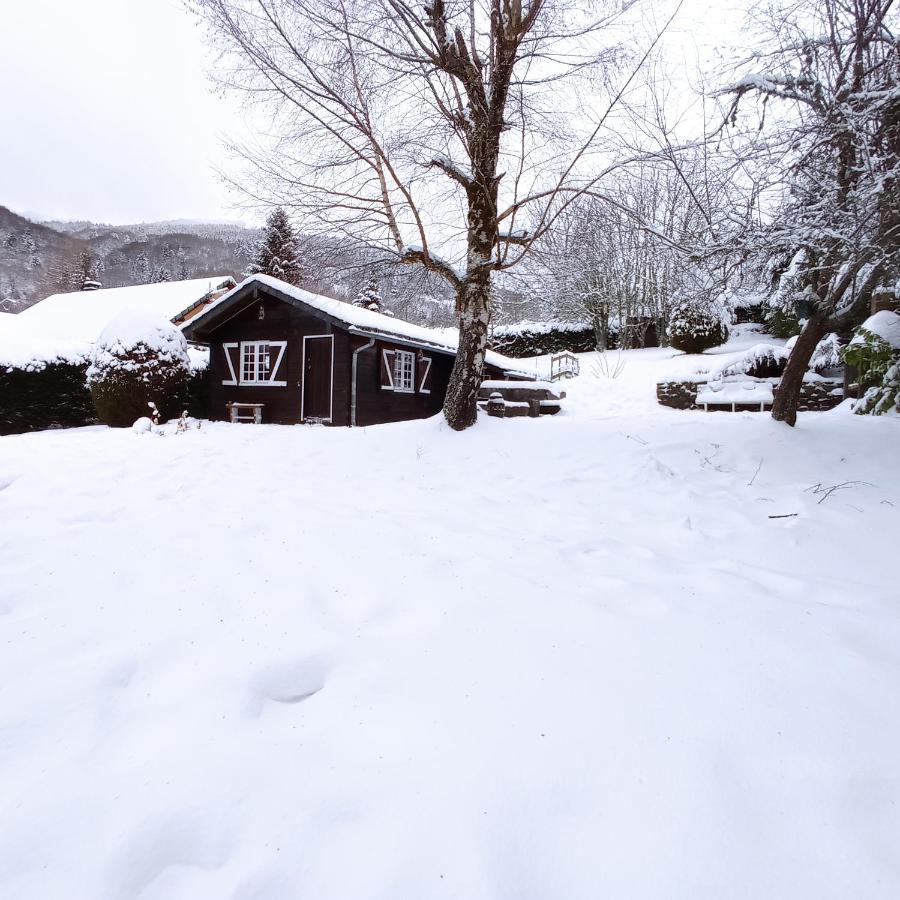 Chalet Des Cascades Le Mont-Dore Εξωτερικό φωτογραφία