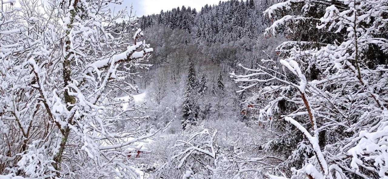 Chalet Des Cascades Le Mont-Dore Εξωτερικό φωτογραφία